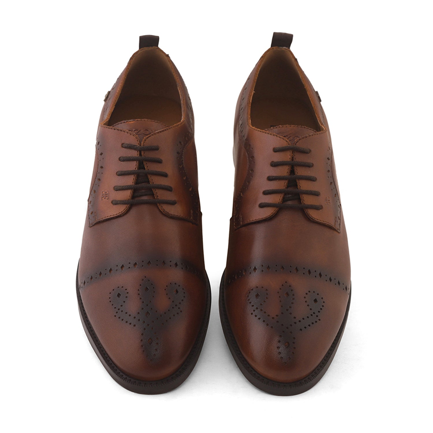 Ezok Men Tan Burnish Finish Perforated Leather Derby Shoes
